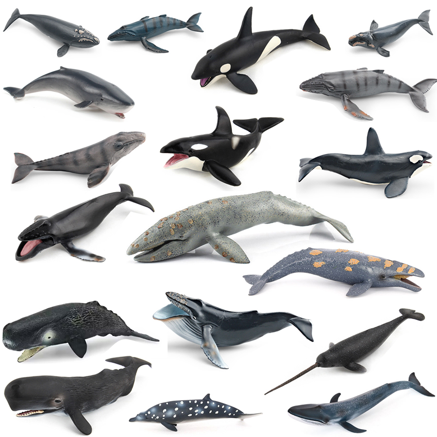 Kids Toys Under 100 - Realistic Humpback Whale Sperm Whale Narwhal