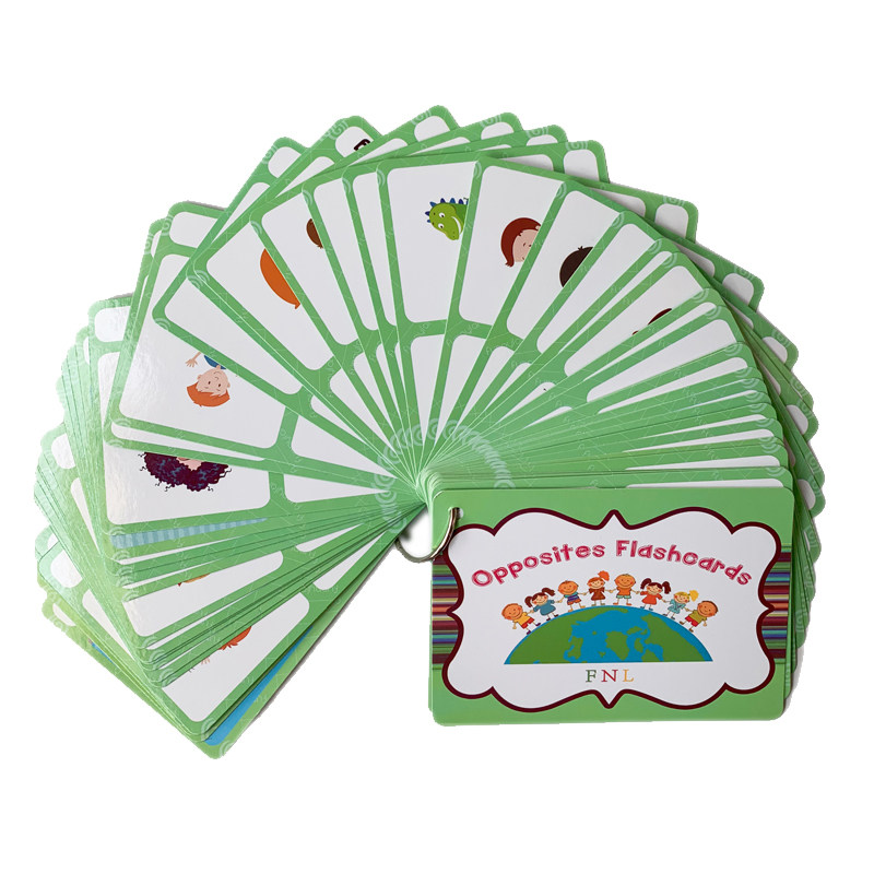 The 100 Groups Opposites Flash - Kids Toys Idea ulasan dan harga