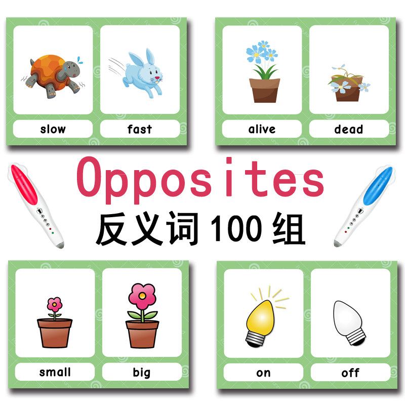 The 100 Groups Opposites Flash - Kids Toys Idea ulasan dan harga