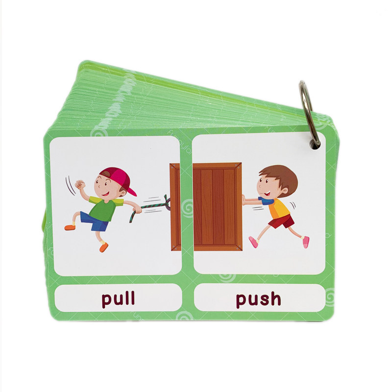 The 100 Groups Opposites Flash - Kids Toys Idea ulasan dan harga