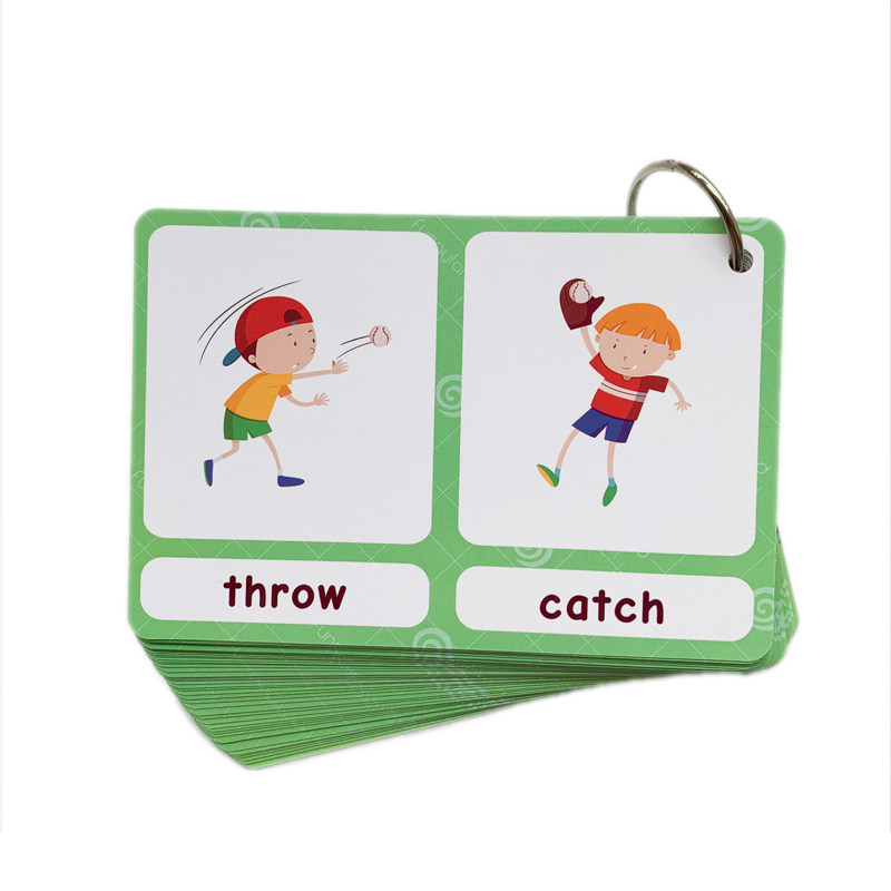 The 100 Groups Opposites Flash - Kids Toys Idea ulasan dan harga