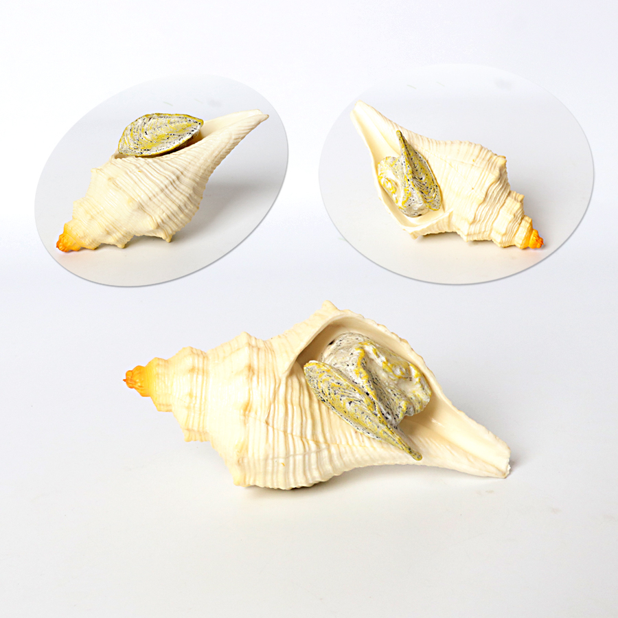 Plastic Prehistoric Sea Creatu - Kids Toys China ulasan dan harga