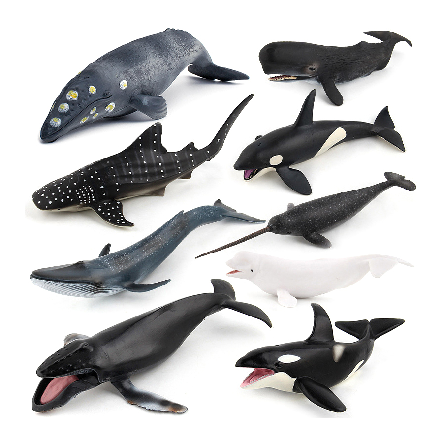 Realistic Humpback Whale Sperm - Kids Toys Under 100 ulasan dan harga