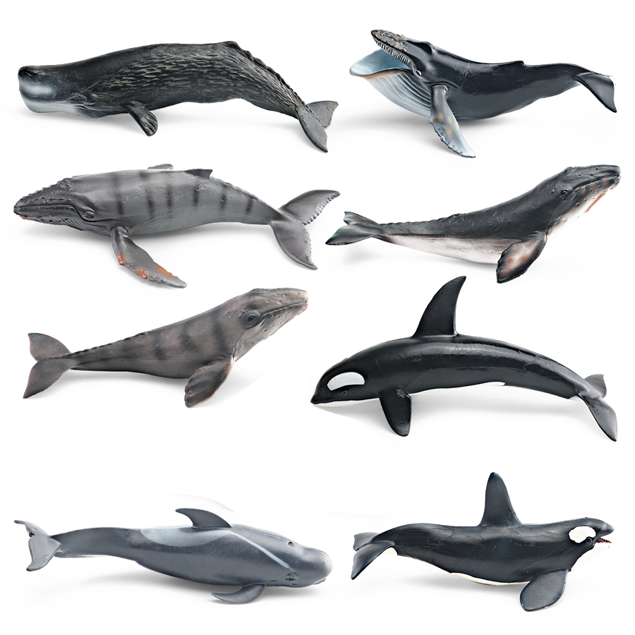 Realistic Humpback Whale Sperm - Kids Toys Under 100 ulasan dan harga