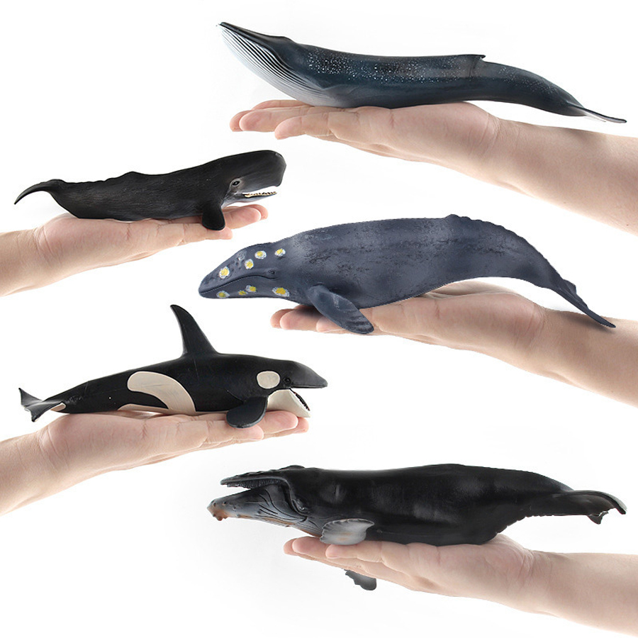 Realistic Humpback Whale Sperm - Kids Toys Under 100 ulasan dan harga